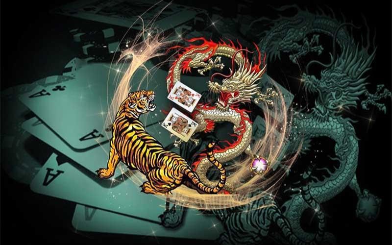Rồng hổ là gì?