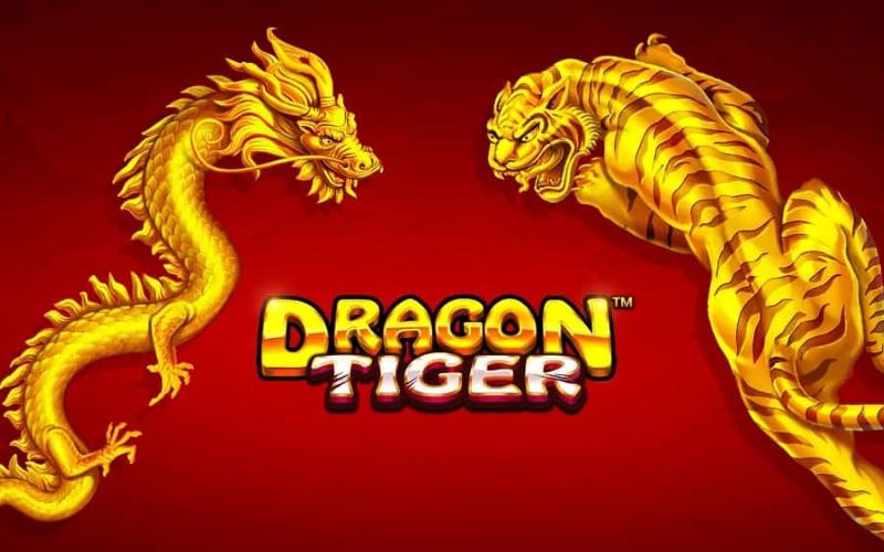 Các thuật ngữ cần biết khi chơi Rồng Hổ
